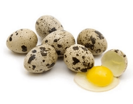 Ovos de codorna